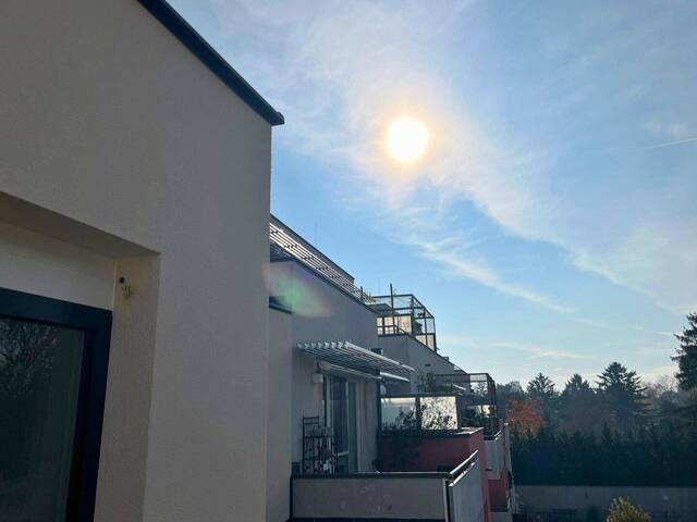 Immobilie in Groß-Enzersdorf - Anlegerhit/Familientraum: Grün und zentral - Bild 2
