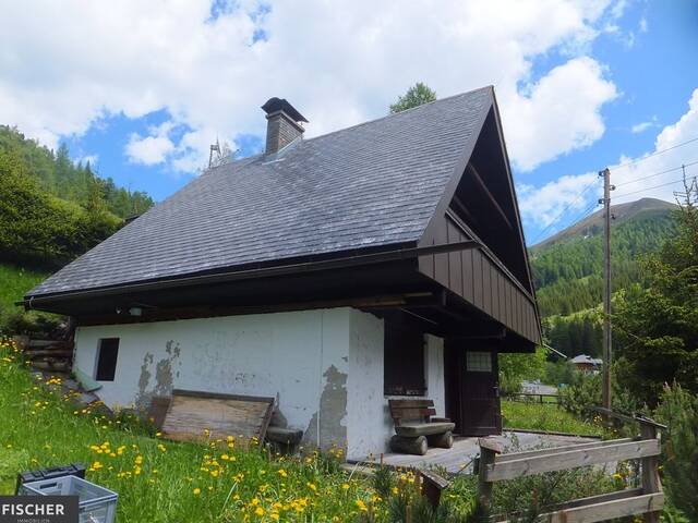 Immobilie in Innerkrems - Ferienhaus mit Sanierungsbedarf im Wander- und Erholungsgebiet Innerkrems - Bild 1