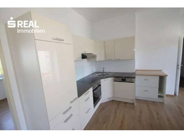 Immobilie in Petzenkirchen - Wohnungspaket - Bild 3