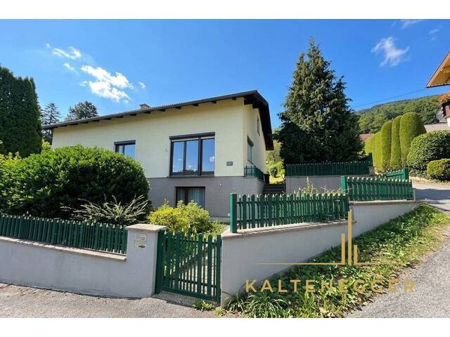 Immobilie in Enzenreith - Helles Einfamilienhaus mit großem Garten in ruhiger Lage - Bild 3