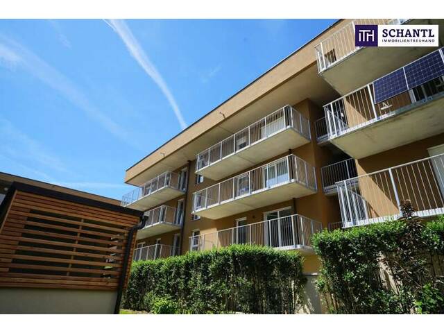 Immobilie in Kalsdorf bei Graz - WOHNTRAUM - LETZTE CHANCE IM 1. OG - Sonnige Traumwohnung mit herrlicher Ruhelage - Bild 2