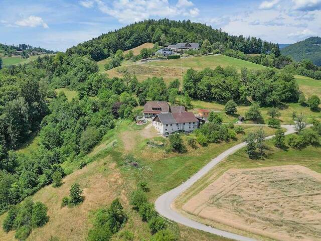 Immobilie in Granitztal-St. Paul / Weißenegg - Alleinlage: Thronen mit Traumkulisse auf 1.2 ha Eigengrund rundum - Bild 2