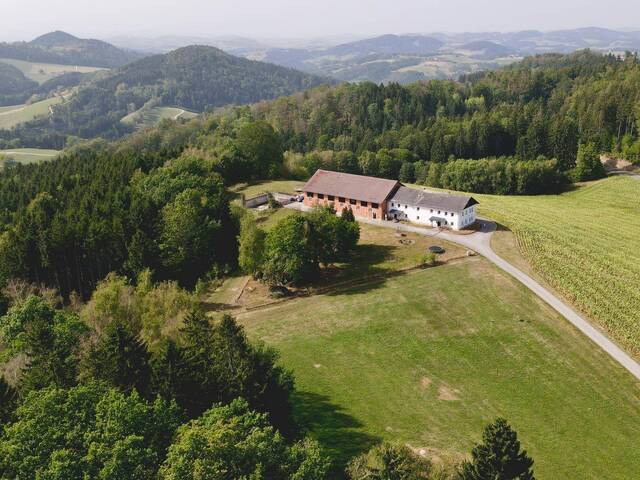 Immobilie in St. Thomas am Blasenstein - Ein Platz fürs Leben - Bild 0