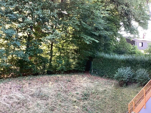 Immobilie in Buch - Preisreduktion! SONNIGES ZUHAUSE MIT GEMÜTLICHER ATMOSPHÄRE - Bild 1
