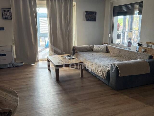 Immobilie in Wiesmath - Einfamilienhaus mit Wintergarten, Photovoltaik & moderner Ausstattung - Bild 0