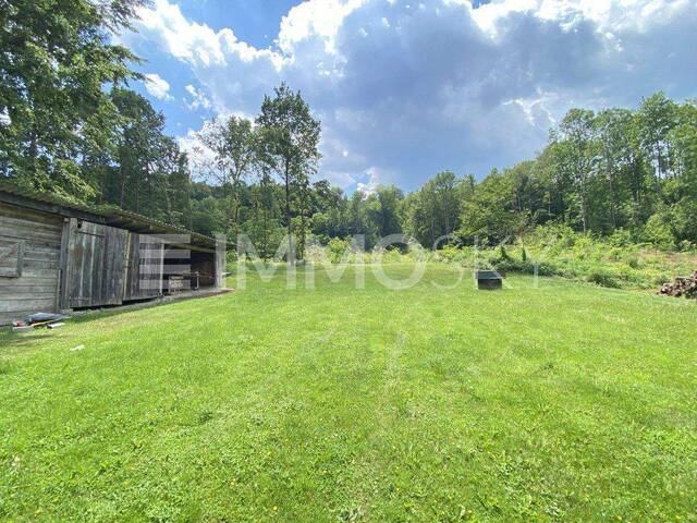 Immobilie in Güssing - Attraktives Anwesen in ruhiger Dorflage ! Großer Garten und Wald! - Bild 4