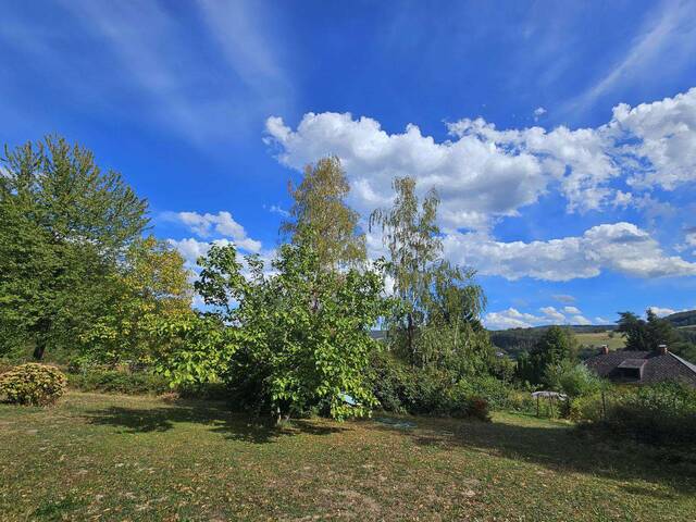Immobilie in Innermanzing - NEUER PREIS - CHARMANTE LIEGENSCHAFT AM WALDFRAND FÜR NATURLIEBHABER BZW. MEHRERE GENERATIONEN - Bild 0