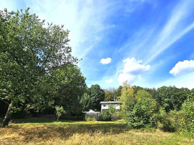 Immobilie in Innermanzing - NEUER PREIS - CHARMANTE LIEGENSCHAFT AM WALDFRAND FÜR NATURLIEBHABER BZW. MEHRERE GENERATIONEN - Bild 1