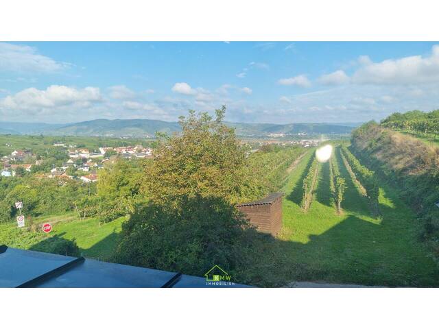 Immobilie in Furth bei Göttweig - TOP AUSSICHTSLAGE - großzügige Liegenschaft mit großem Garten und Pool - Bild 3