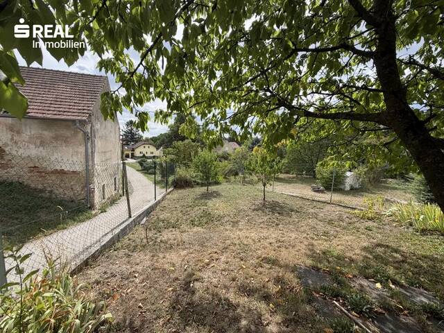 Immobilie in Karnabrunn - Charmantes 3 Zimmer-Haus mit Garten in Karnabrunn - ideal zur Sanierung! - Bild 3
