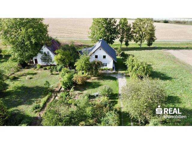 Immobilie in Neukirchen bei Lambach - 3 in 1: Drei Grundstücke/zwei Häuser/eine Immobilie in ruhiger Lage in Neukirchen b.L. - Bild 0