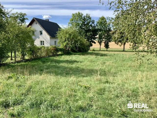 Immobilie in Neukirchen bei Lambach - 3 in 1: Drei Grundstücke/zwei Häuser/eine Immobilie in ruhiger Lage in Neukirchen b.L. - Bild 1