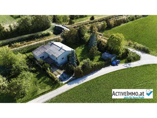 Immobilie in Sollenau - Einfamilienhaus, beinahe Alleinlage, mit großem Grundstück in Grün- und Ruhelage - Bild 1