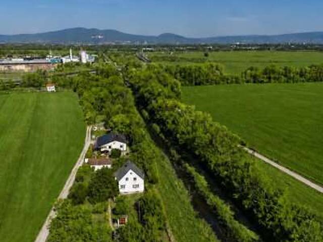 Immobilie in Sollenau - Einfamilienhaus, beinahe Alleinlage, mit großem Grundstück in Grün- und Ruhelage - Bild 3