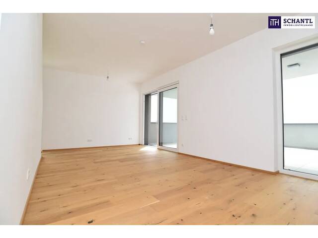 Immobilie in Weiz - Ankommen, durchatmen, zuhause sein: Ihr 450m² Garten mit Blick über Weiz - Bild 2